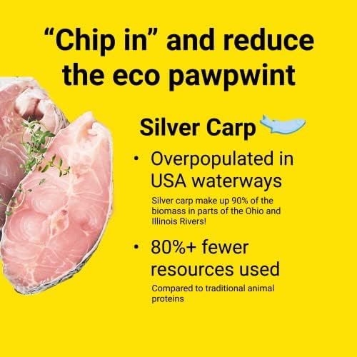 Chippin Balık Sarsıntılı Köpek Muamelesi / Hipoalerjenik ve İnsan Sınıfı Gümüş Sazan / Sınırlı Malzemeler / Yavrular ve Yaşlılar