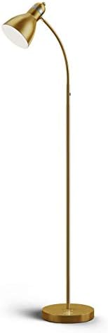 LEPOWER Metal Altın Zemin Lambası, Ağır Metal Tabanlı Ayarlanabilir Kaz Boynu Ayaklı Lamba, Oturma Odası, Yatak Odası, Çalışma