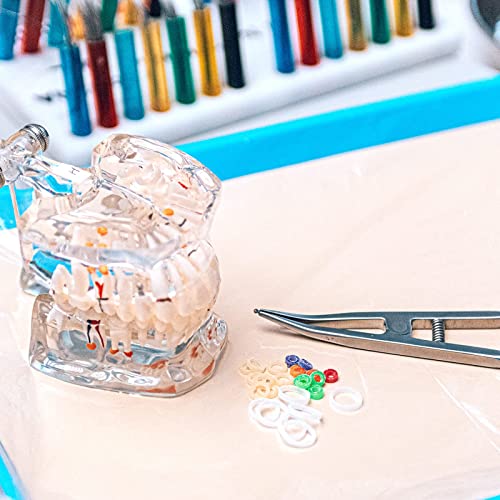 JMU Neon Ortodontik Elastik 6.5 oz 1/4 Inç Ağır 500 paket İntraoral Elastik Bantlar Lateks Ücretsiz Diş Lastik Bantlar abd'de