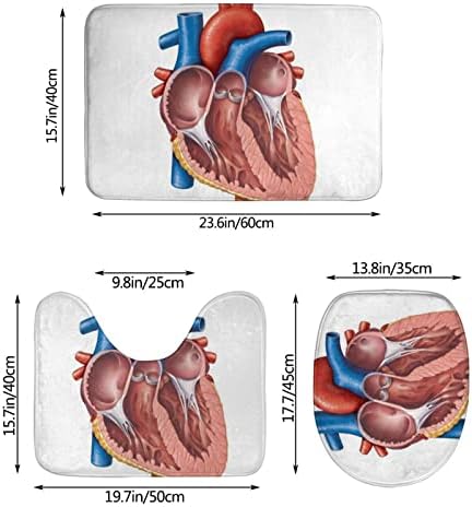 3 Adet Banyo Halı Seti İnsan Anatomisi Kalp Grafik Banyo Antiskid Ped Yumuşak Emici Kaymaz Banyo Paspas Kontur Tuvalet Kapağı