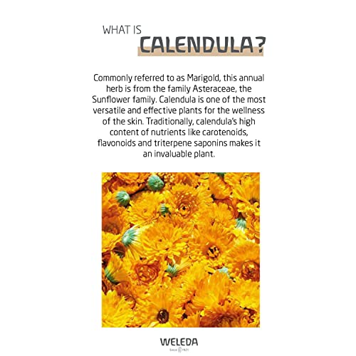 Weleda Baby Calendula 2'si 1 Arada Nazik Şampuan ve Vücut Yıkama, 6.8 Sıvı Ons, Calendula ve Tatlı Badem Yağı içeren Bitki