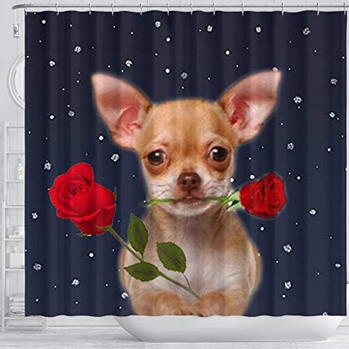 Gül Baskı Duş Perdesi ile Petscharmed Chihuahua Köpek