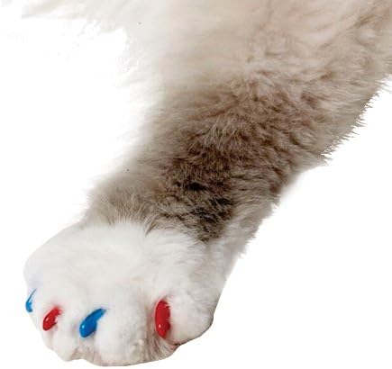 Kediler için Yumuşak Pençeler, Orta Boy, Yaz Rengi (Mavi ve Kırmızı)