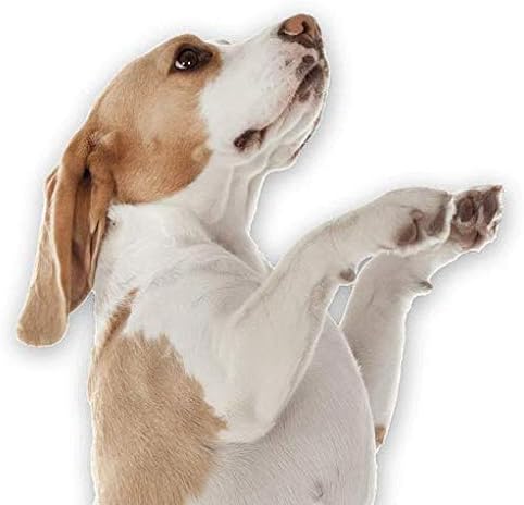 Evcil hayvanlarımı SEVİYORUM LLC Köpek Yavrusu için Kalça ve Eklem Takviyeleri-Köpek Kalça ve Eklem Desteği-MAKSİMUM Güç Formülü