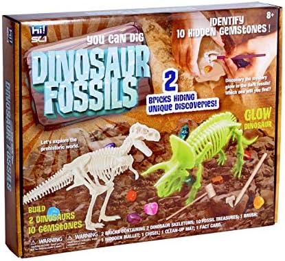 selam!Çocuklar için BİLİM Dinozor Fosili Kazma Kiti, Dino Taş Kazı Kiti, Paleontoloji ve Arkeoloji Meraklıları için Büyük KÖK