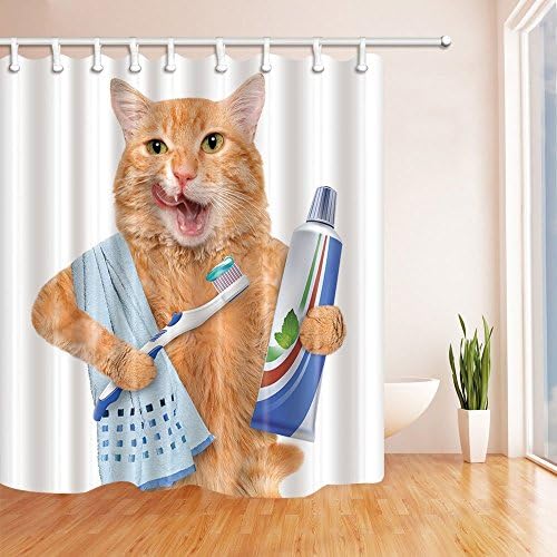 NYMB Komik Hayvanlar Duş Perdesi Dekor, Diş Fırçası üzerinde Diş Macunu ile Bir Kedi Duş Perdeleri 69X70 inç Polyester Kumaş