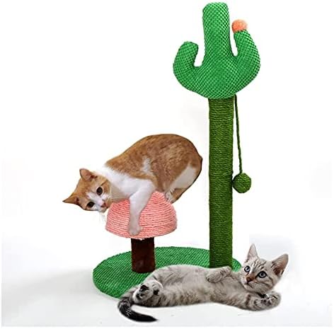 Kedi Ağacı Kaktüs Kedi Tırmalama Sisal Halatlı Kedi Tırmalama Direği, Yavru Kedi için Kedi Mantarı Tırmalama Direği, Etkileşimli