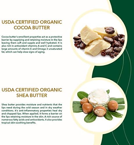 Nature's Gold USDA Sertifikalı Organik Süper İyileştirici Dudak Balsamı Değer Paketi 3. Kakao Yağı ve Shea Yağı ile inanılmaz