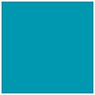 Rosco Roscolux İtalyan Mavisi, 20x24 Renk Efektleri Aydınlatma Filtresi