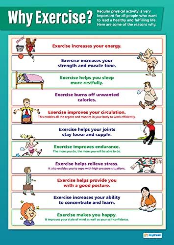 Neden Egzersiz Yapıyorsun? | PSHE Posterleri | 33” x 23.5” Ölçülerinde Parlak Kağıt | PSE Sınıf Posterleri / Daydream Education