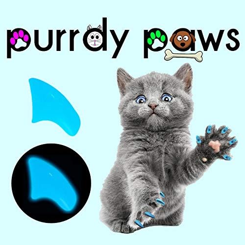 Purrdy Paws 3 Aylık Tedarik Kediler için Yumuşak Tırnak Kapakları Karanlıkta Mavi Parıltı-Ekstra Yapıştırıcılar