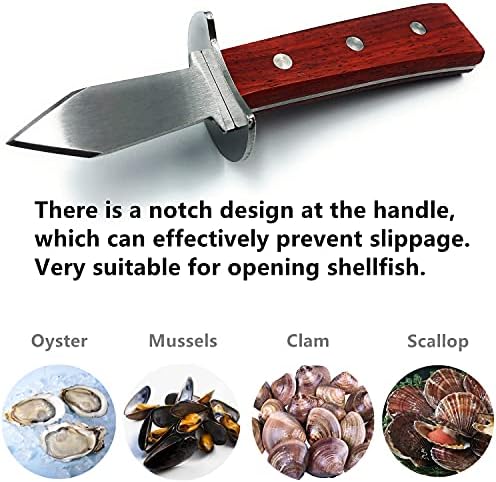 DaweiC, İstiridye Shucking Bıçak, iki İstiridye Bıçak Shucker Ve 5leve Cutproof Eldiven Set İstiridye Kiti İstiridye Bıçak