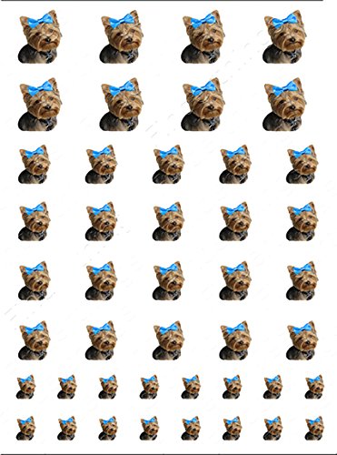 Yorkie Mavi Yay Sevimli Köpek Tırnak Sanat Çıkartması Sticker
