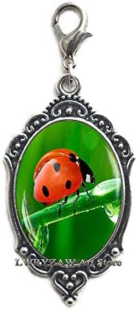 Lady Bug Fermuar Çekme, Bug Istakoz Toka, Böcek Takı, Lady Bugs Sanat Hediye, Sanat Böcek Istakoz Toka, Böcek Fermuar Çekme,