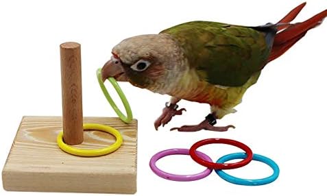 QBLEEV Kuş Oyuncaklar, Kuş Hüner Masa Oyuncaklar, Eğitim Basketbol İstifleme Renk Halka Oyuncaklar Setleri, Papağan Çiğnemek