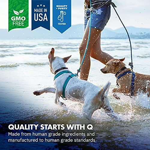 Equa Holistics Köpekler için Yeşil Dudaklı Midye Tozu, Köpekler için Tamamen Doğal Kalça ve Eklem Desteği Besin Takviyesi Formülü